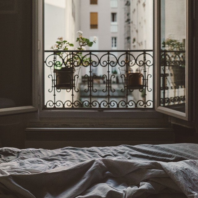 Piante da camera da letto