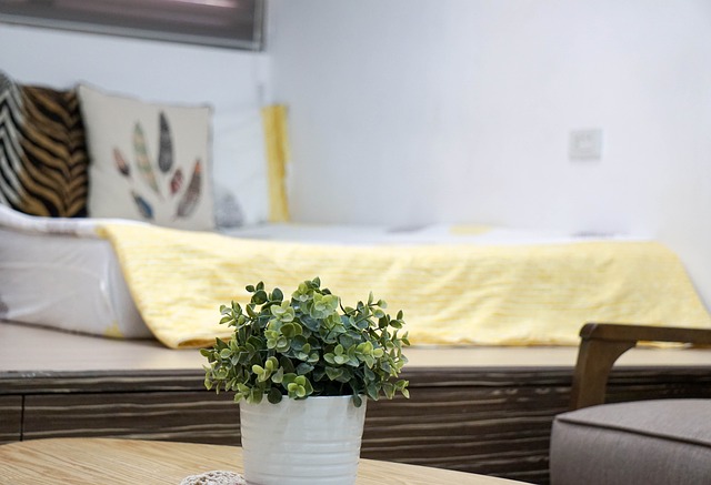 Piante da camera da letto