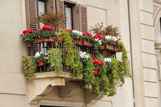 fiori ornamentali