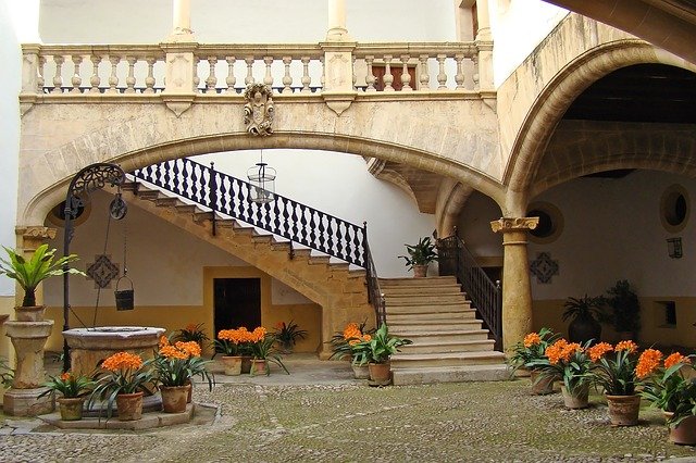 fiori ornamentali
