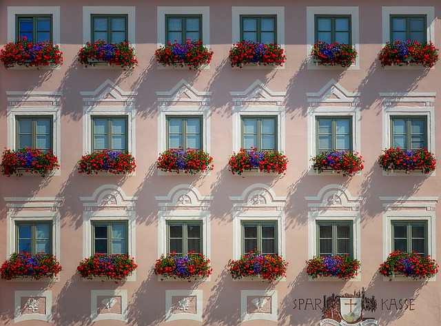 fiori da balcone pendenti
