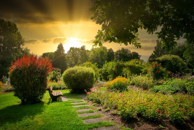 cespugli da giardino