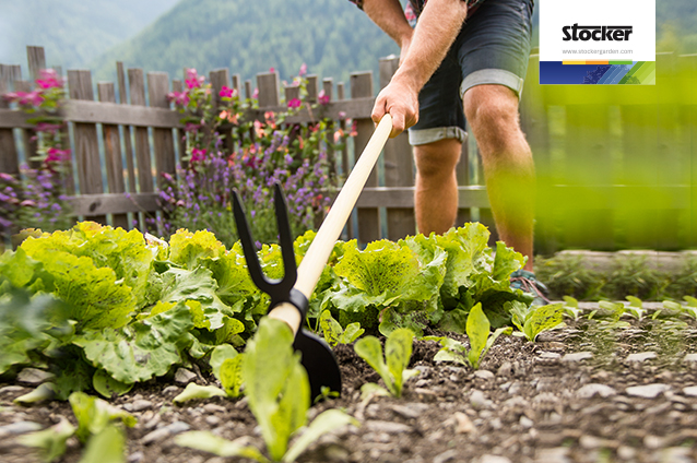 corsi giardinaggio online