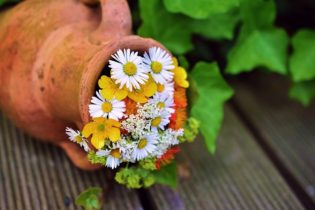 ciotole fiori primaverili