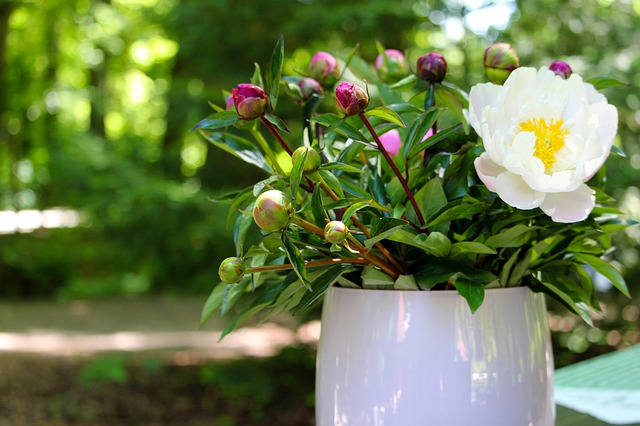 ciotole fiori primaverili