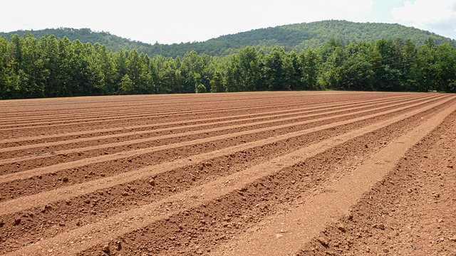 terreno lavorato con tiller a molle