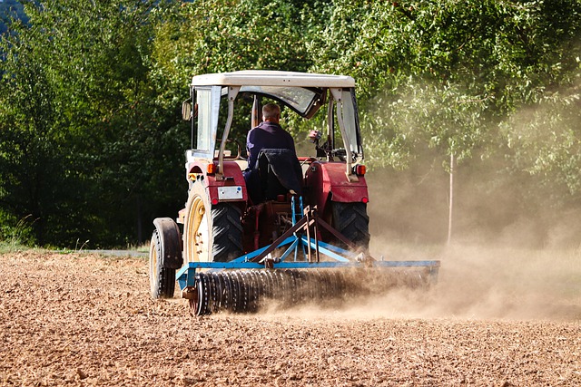 Il rullo prepara il terreno per la semina