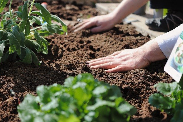 banche dati per agrofarmaci