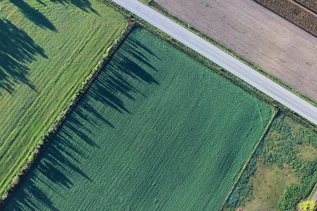 Come funzionano i disciplinari di produzione
