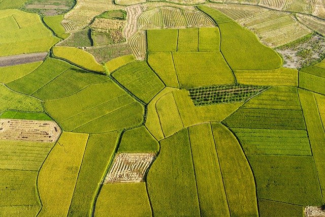 Trincia a scoppio e trincia a trattore