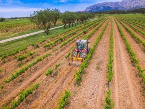 Trattori per vigneto