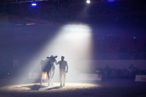 Fiere Zootecniche Internazionali