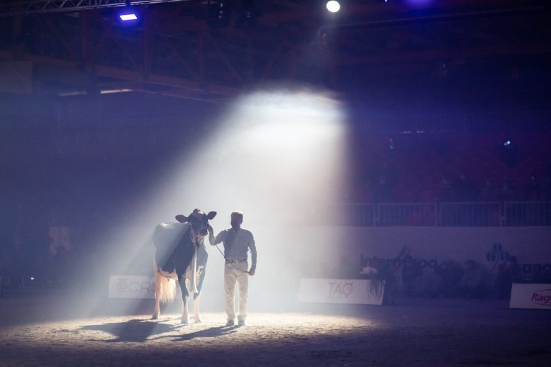Fiere Zootecniche Internazionali