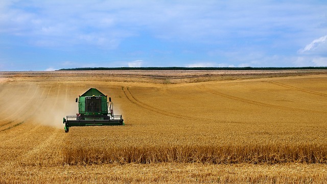 quaderno di campagna controllo