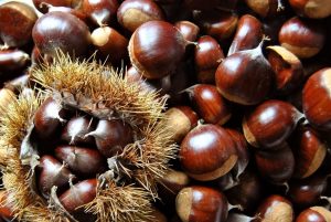 differenze tra castagne e marroni