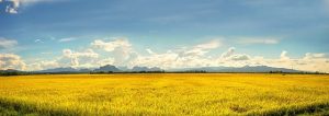 biorfarm
