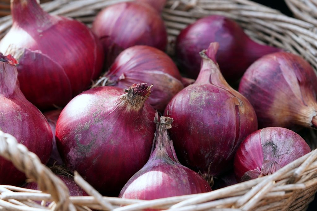 quando-raccogliere-le-cipolle