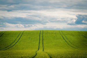 QdC® - Quaderno di Campagna®