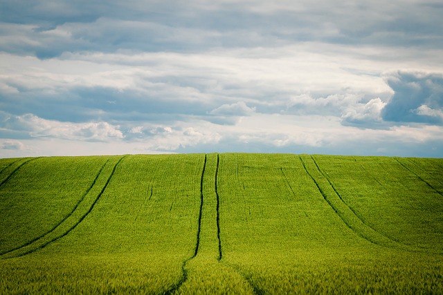 QdC® - Quaderno di Campagna®