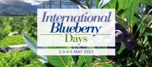 International Blueberry Days